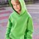 Sudadera con capucha niño Basic-Hoody Children. .